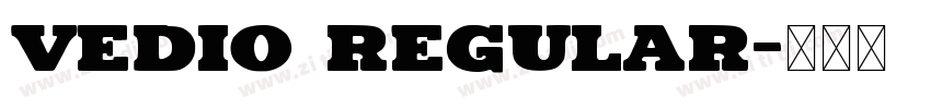 vedio regular字体转换